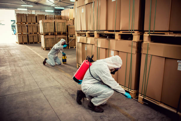 Best Best Pest Control Companies  in Gray Summit, MO