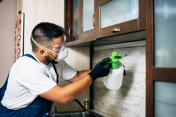 Pest Control for Restaurants in Gray Summit, MO