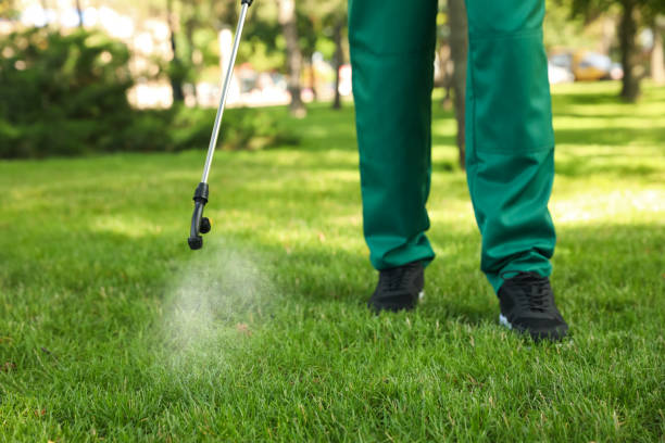 Professional Pest Control in Gray Summit, MO