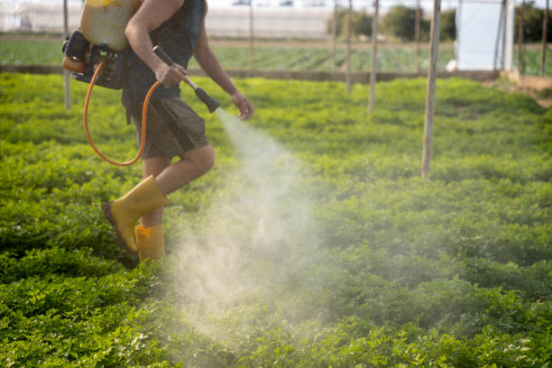 Best Pest Prevention Services  in Gray Summit, MO
