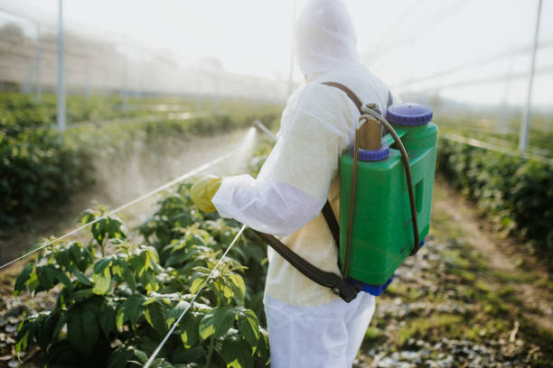 Best Insect Control  in Gray Summit, MO